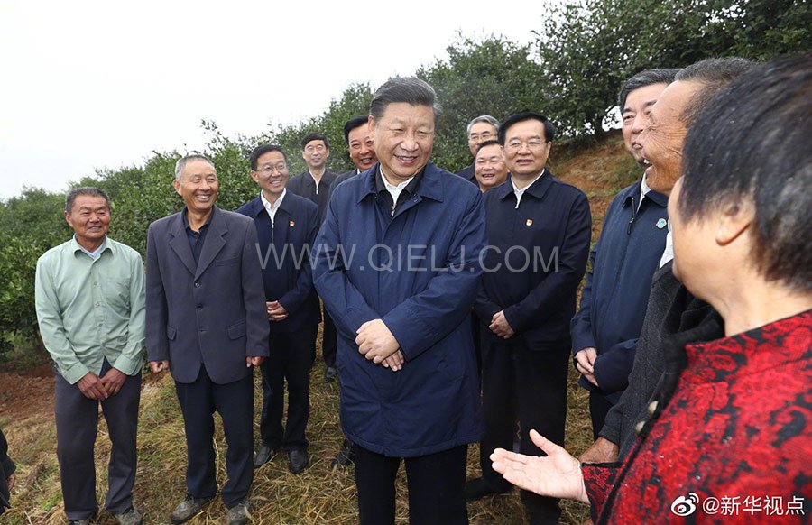 光山油茶籽榨油設備，山茶籽油榨油機廠家(圖2)