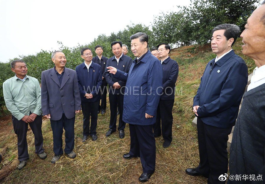 光山油茶籽榨油設備，山茶籽油榨油機廠家(圖3)